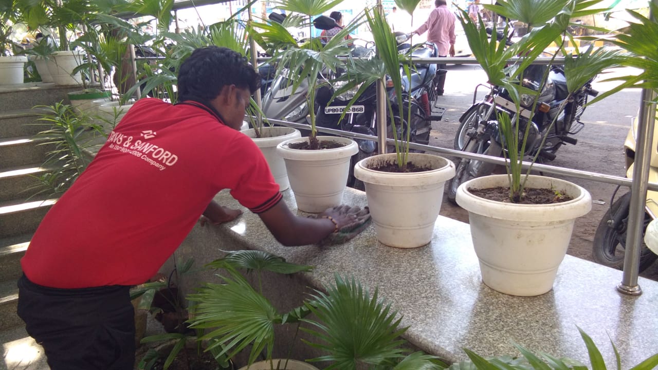 office cleaning services